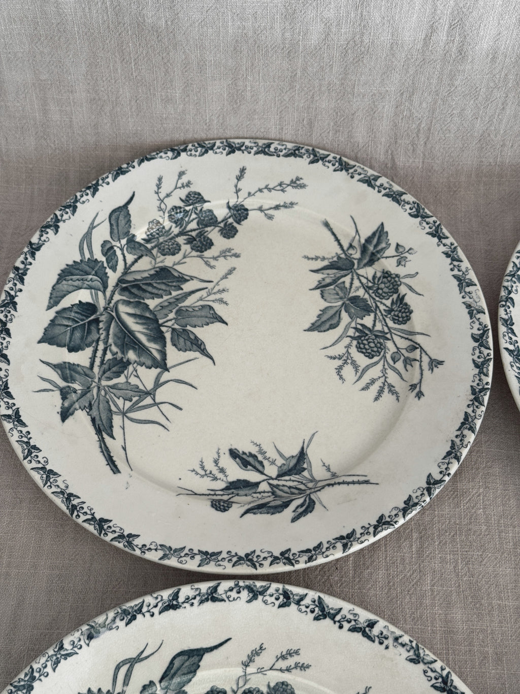 Overhead view of a green transferware plate on linen, showing the cream terre de fer glaze and the botanical print