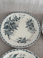 Overhead view of a green transferware plate on linen, showing the cream terre de fer glaze and the botanical print