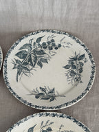 Detail of a French blackberry transferware plate with a second plate behind it, showing print detail and light glaze crazing