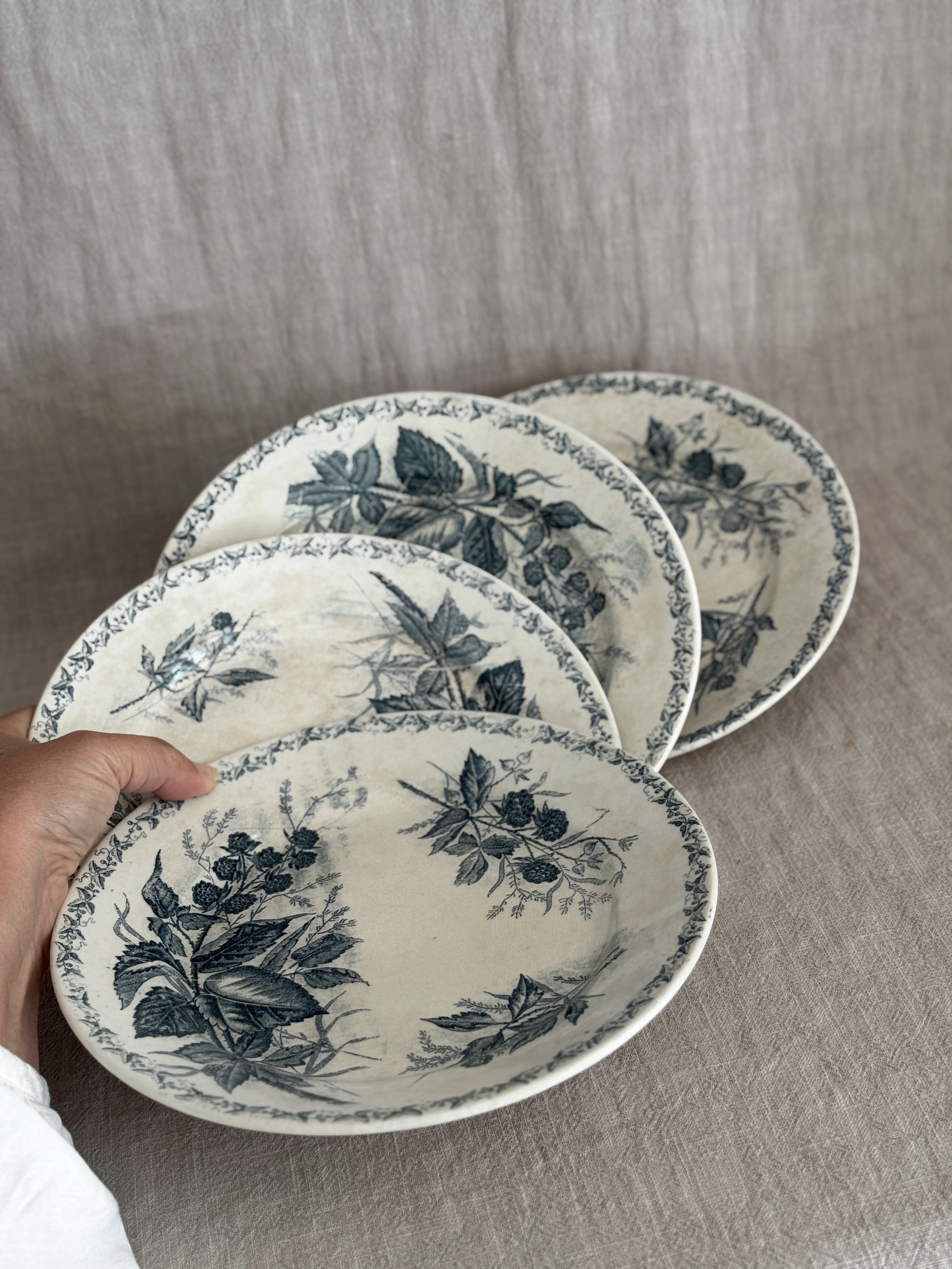 Hand holding four French blackberry transferware luncheon plates fanned out, showing the sloping rims and warm all-over patina