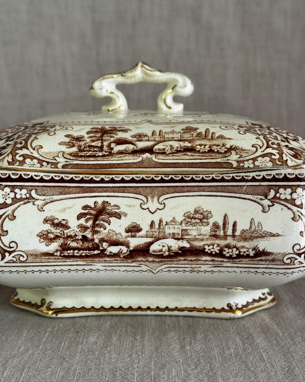 The English Brown Tureen
