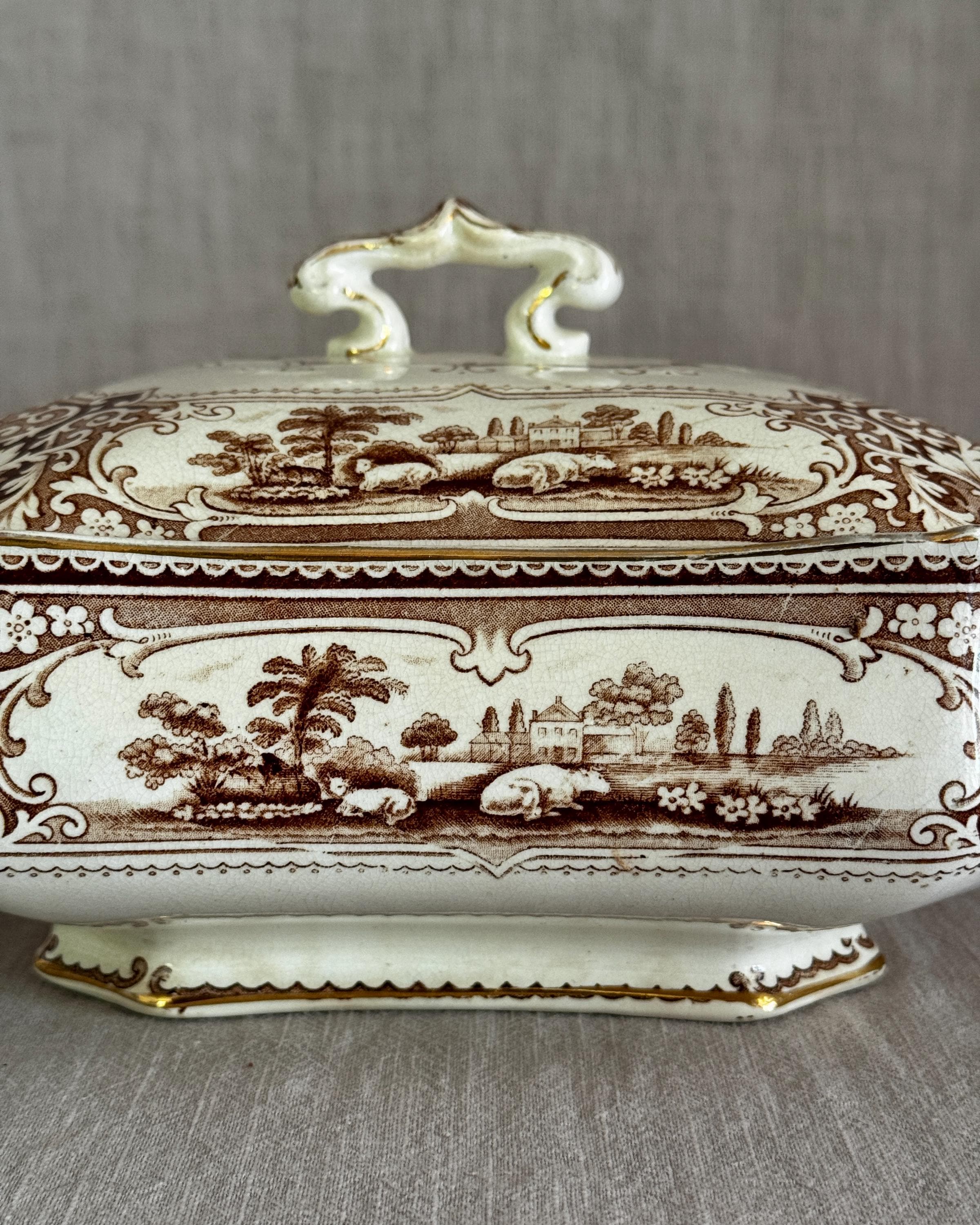 The English Brown Tureen