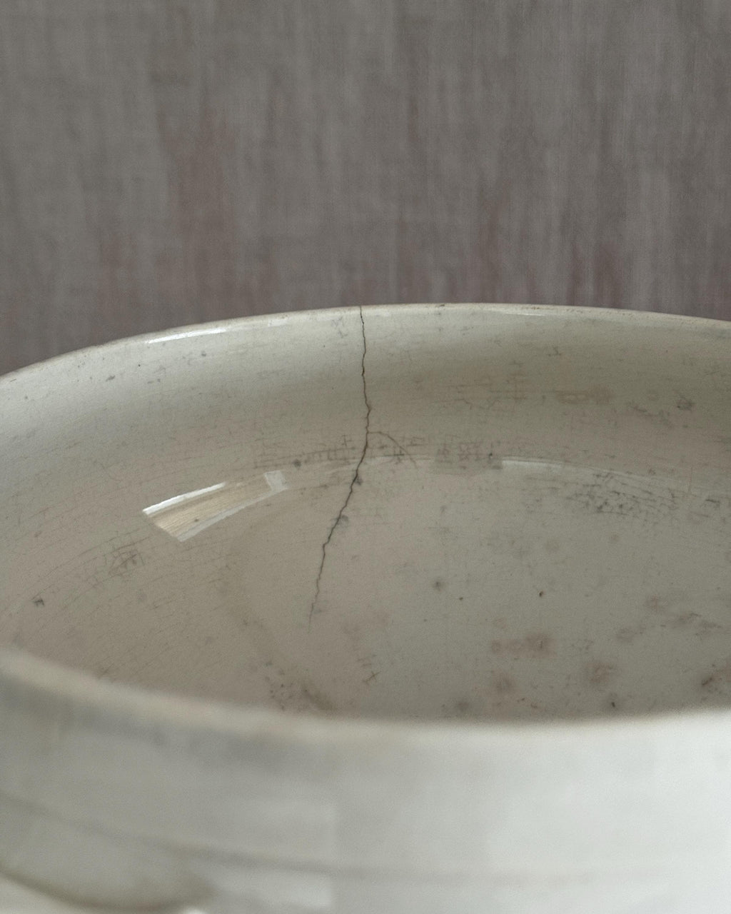 The Digoin Sarreguemines Tureen