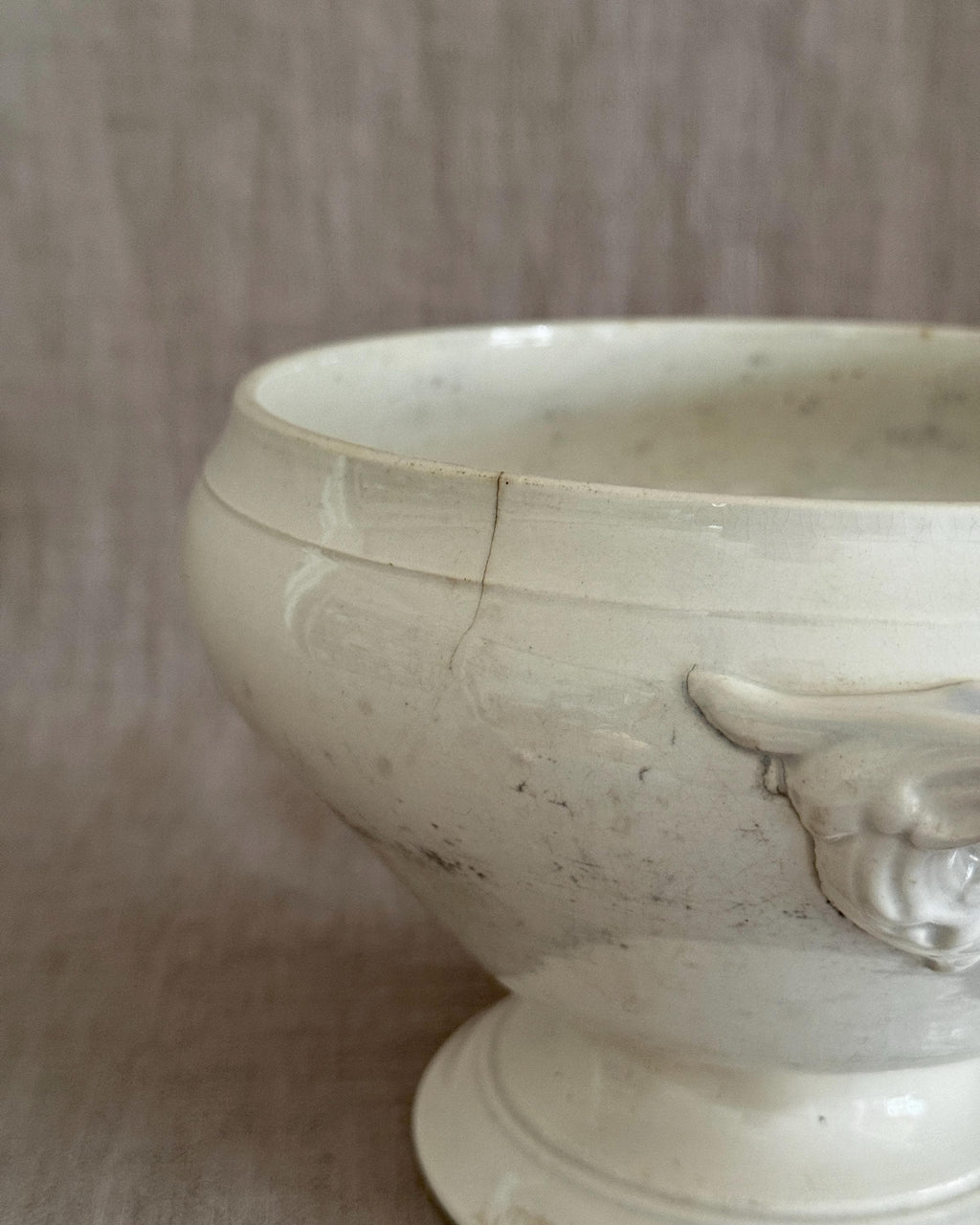 The Digoin Sarreguemines Tureen